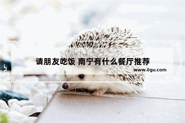 请朋友吃饭 南宁有什么餐厅推荐