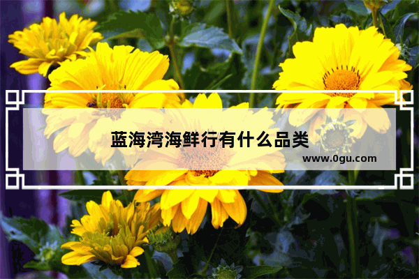 蓝海湾海鲜行有什么品类