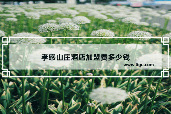孝感山庄酒店加盟费多少钱