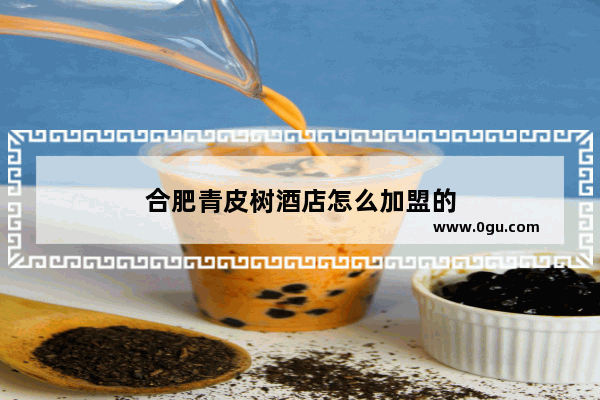 合肥青皮树酒店怎么加盟的