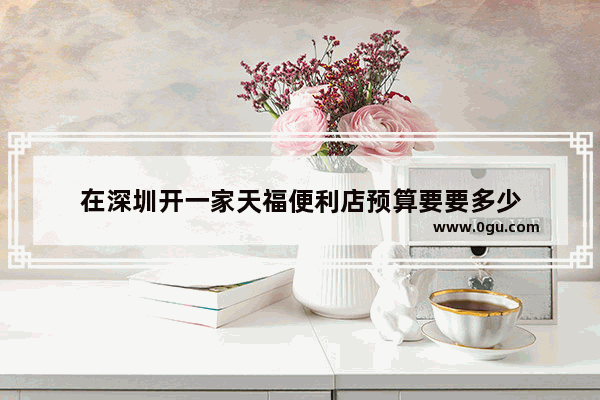 在深圳开一家天福便利店预算要要多少