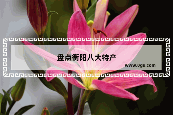盘点衡阳八大特产