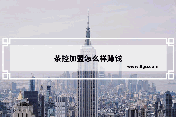 茶控加盟怎么样赚钱