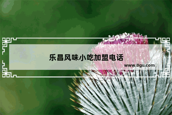 乐昌风味小吃加盟电话