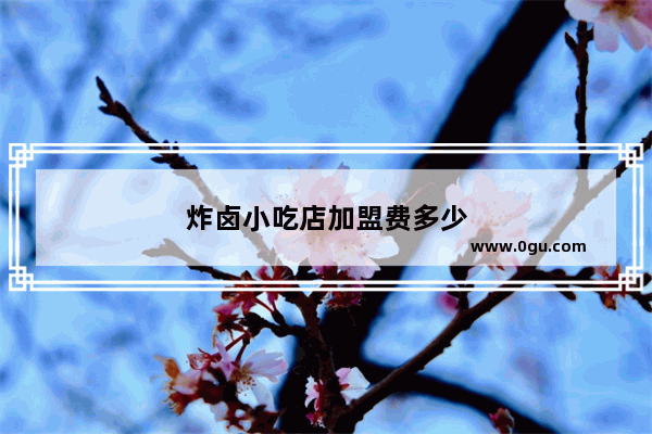 炸卤小吃店加盟费多少