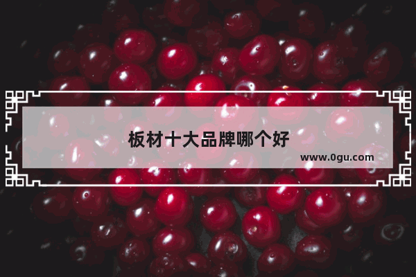 板材十大品牌哪个好
