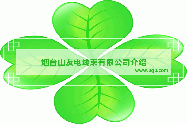 烟台山友电线束有限公司介绍