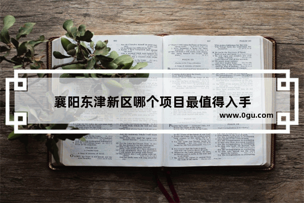襄阳东津新区哪个项目最值得入手