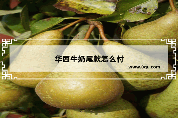 华西牛奶尾款怎么付