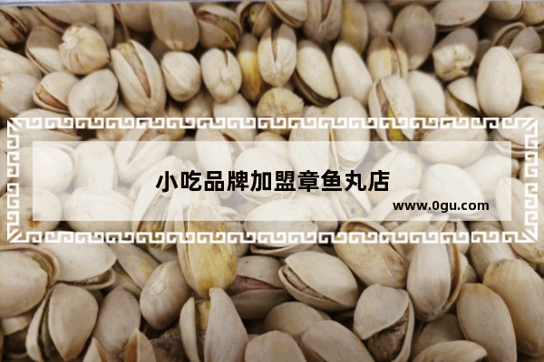 小吃品牌加盟章鱼丸店