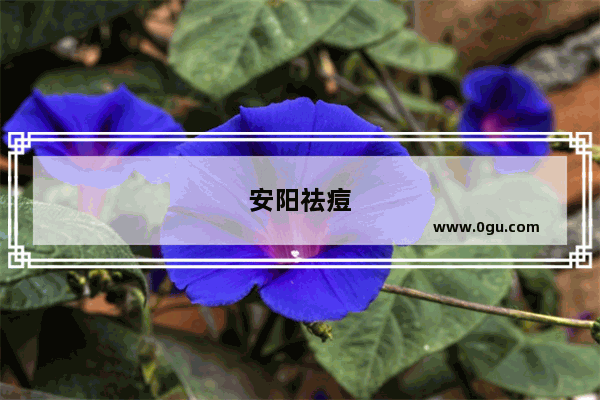 安阳祛痘