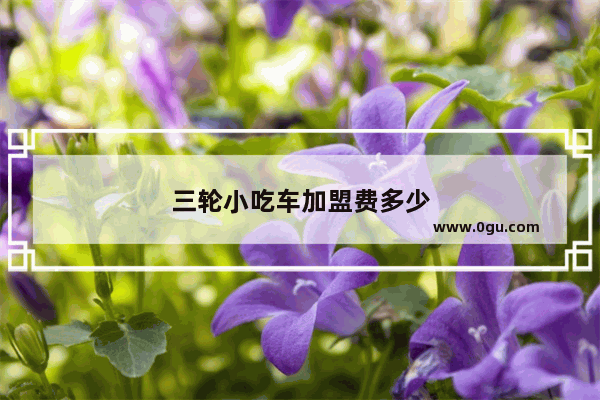 三轮小吃车加盟费多少