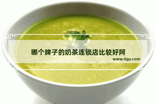 哪个牌子的奶茶连锁店比较好阿