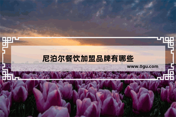 尼泊尔餐饮加盟品牌有哪些