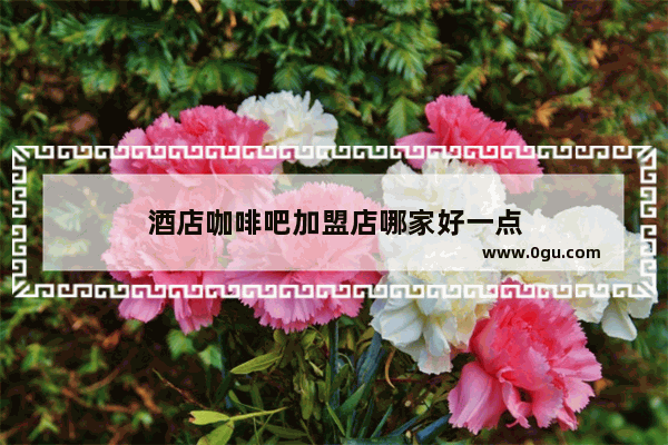 酒店咖啡吧加盟店哪家好一点