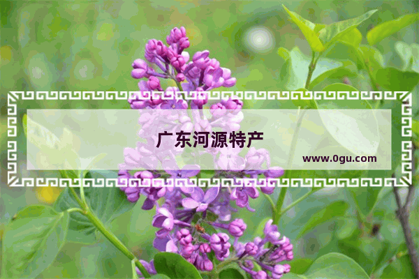 广东河源特产