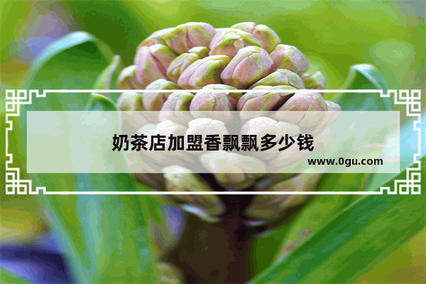 奶茶店加盟香飘飘多少钱