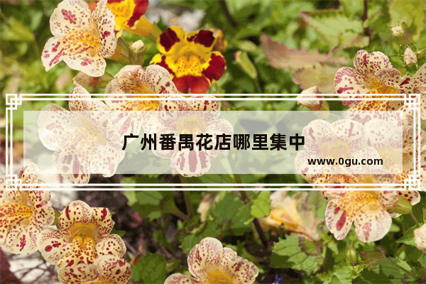 广州番禺花店哪里集中