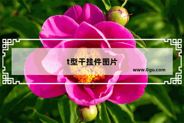t型干挂件图片