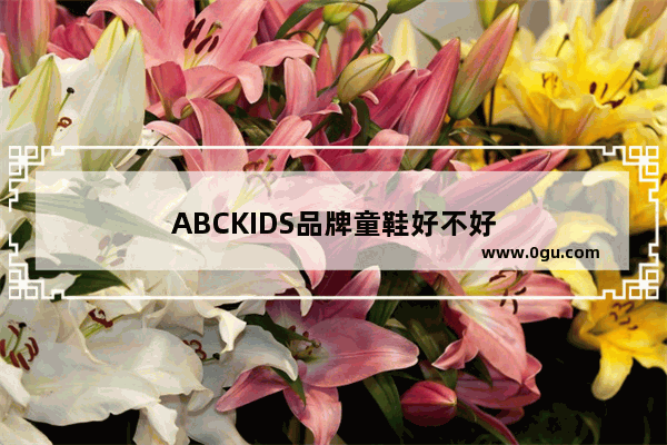 ABCKIDS品牌童鞋好不好