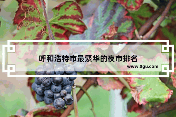 呼和浩特市最繁华的夜市排名