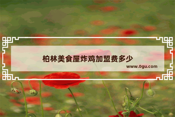 柏林美食屋炸鸡加盟费多少