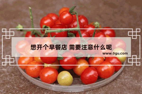 想开个早餐店 需要注意什么呢