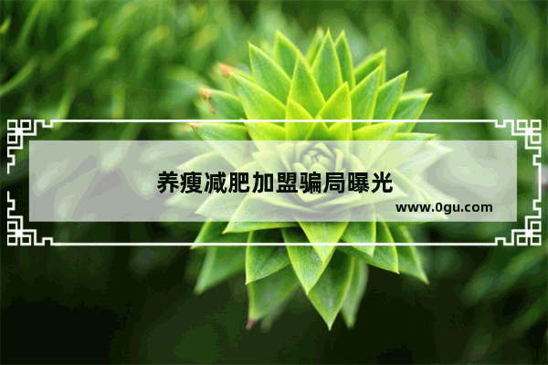 养瘦减肥加盟骗局曝光