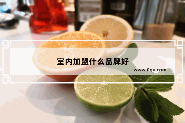 室内加盟什么品牌好