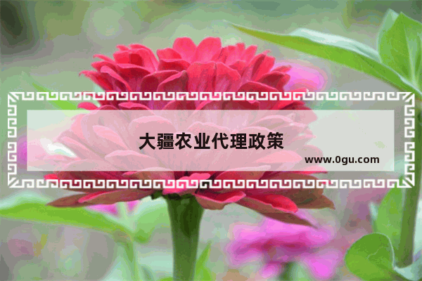 大疆农业代理政策