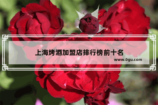 上海烤酒加盟店排行榜前十名