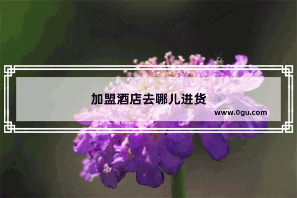 加盟酒店去哪儿进货