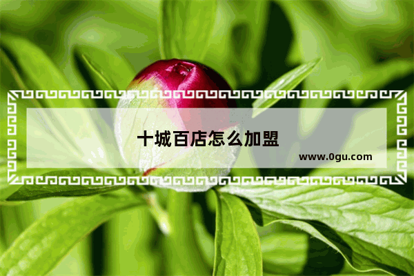 十城百店怎么加盟