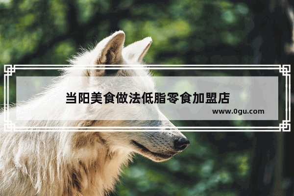 当阳美食做法低脂零食加盟店