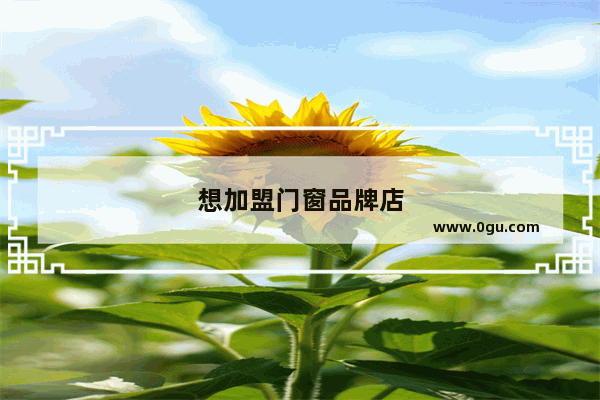 想加盟门窗品牌店
