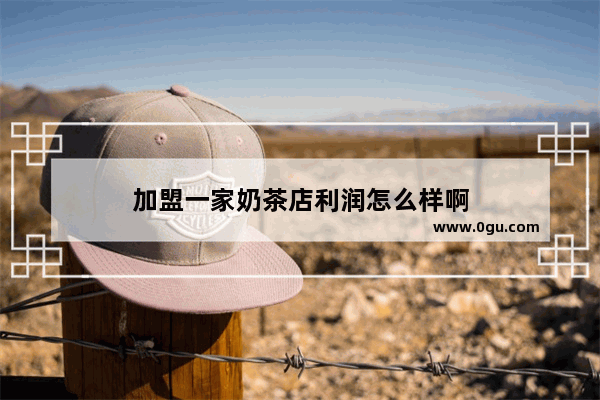 加盟一家奶茶店利润怎么样啊