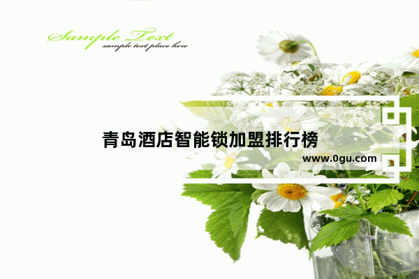 青岛酒店智能锁加盟排行榜