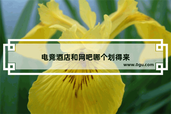 电竞酒店和网吧哪个划得来