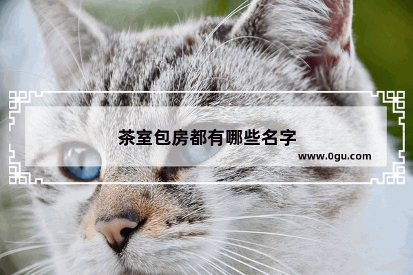 茶室包房都有哪些名字