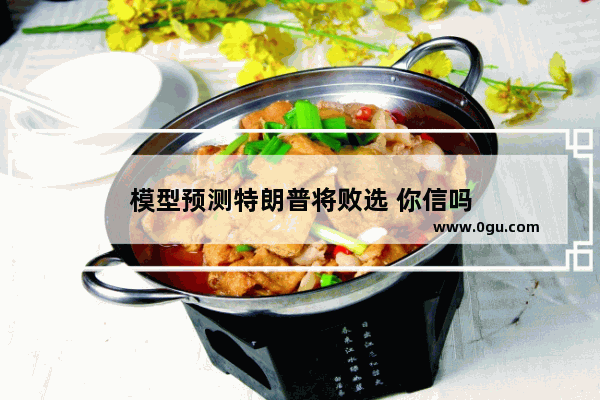 模型预测特朗普将败选 你信吗