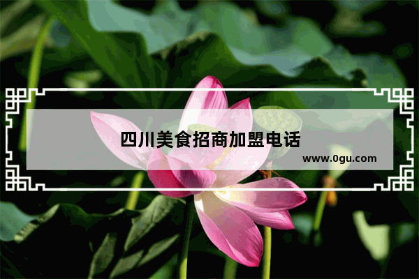 四川美食招商加盟电话