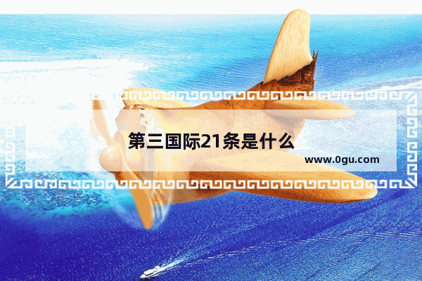 第三国际21条是什么