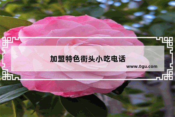 加盟特色街头小吃电话