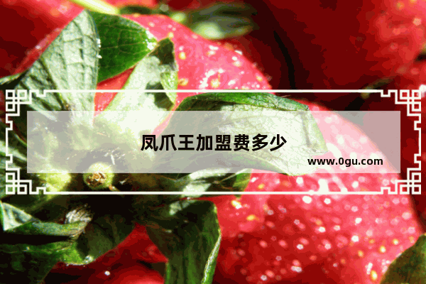 凤爪王加盟费多少