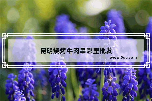 昆明烧烤牛肉串哪里批发