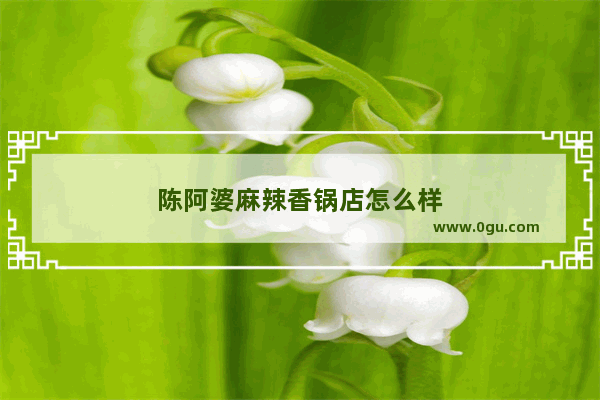 陈阿婆麻辣香锅店怎么样
