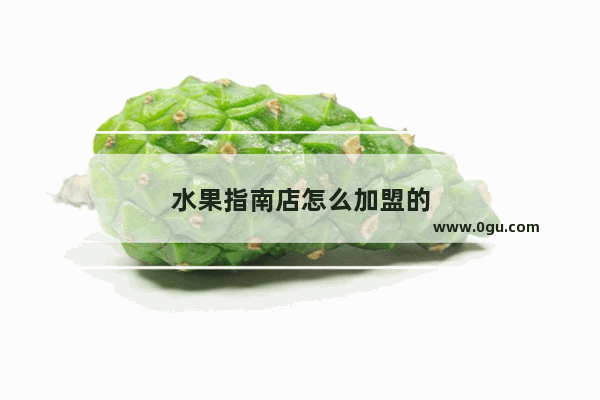 水果指南店怎么加盟的