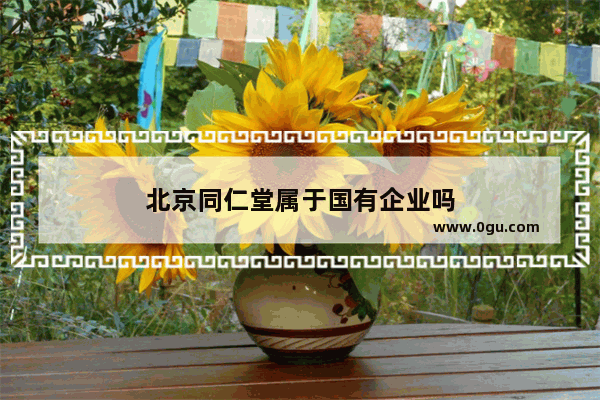北京同仁堂属于国有企业吗