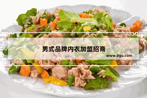男式品牌内衣加盟招商