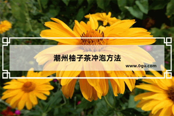 潮州柚子茶冲泡方法